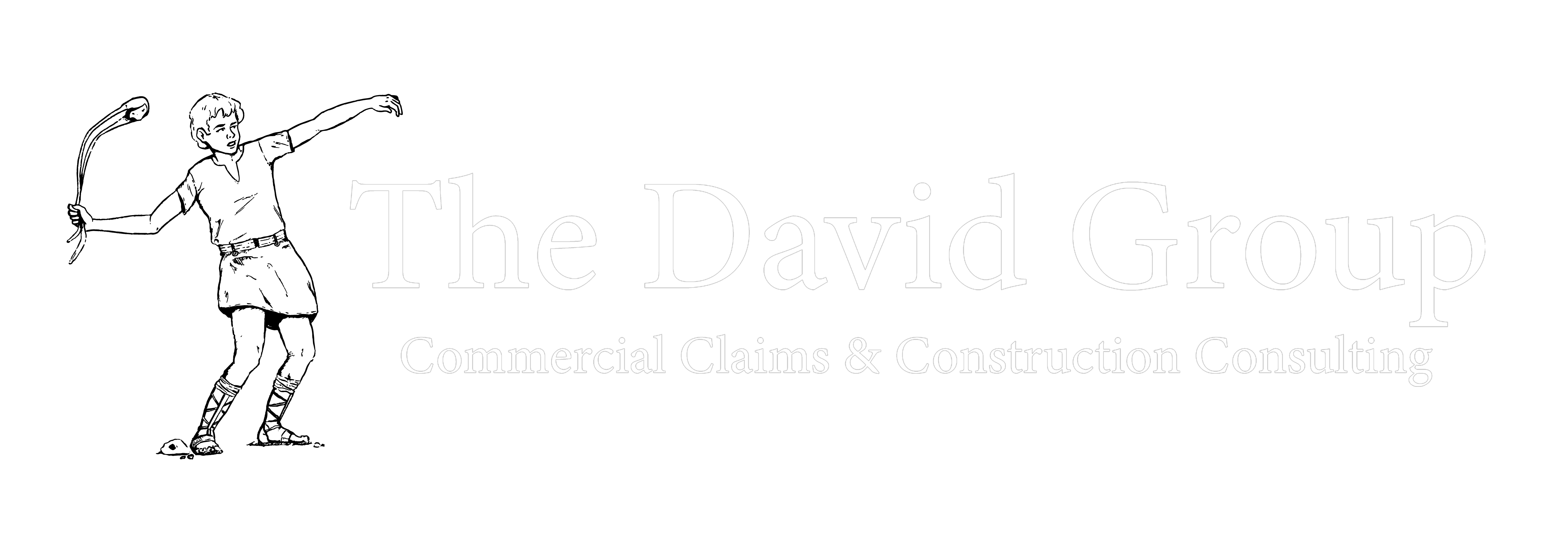 The David Group